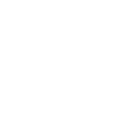 net