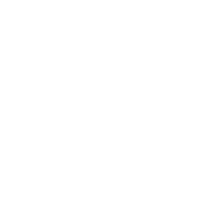 angular js